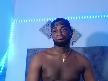 _black_stallion
