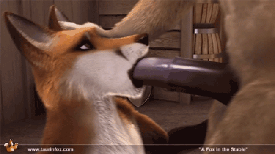 Gay Furry :) — 32