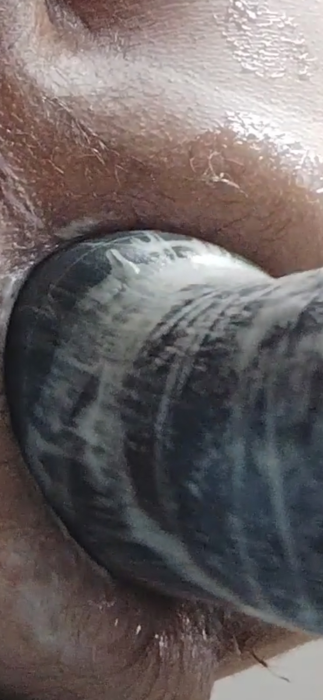 Hard ANaL — 10
